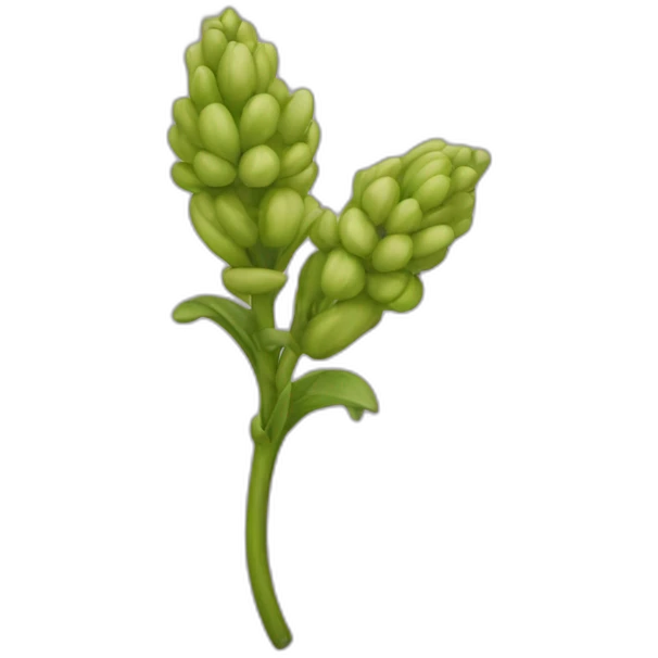 chritelle floricour emoji