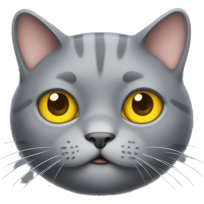Cute grey fat cat with yellow eyes  emoji