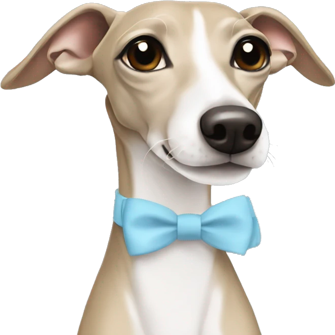 Beige and white Italian greyhound with a light blue bow emoji