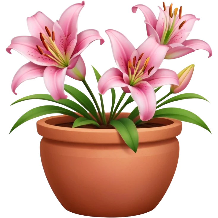 pink lily flowers in a clay pot emoji