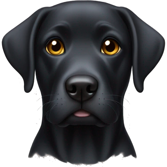 Black English lab with a boxy head emoji