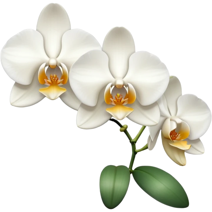 white orchids emoji