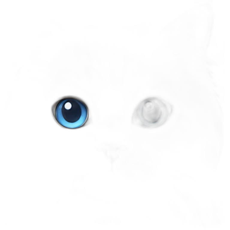 white persian cat blue eyes emoji