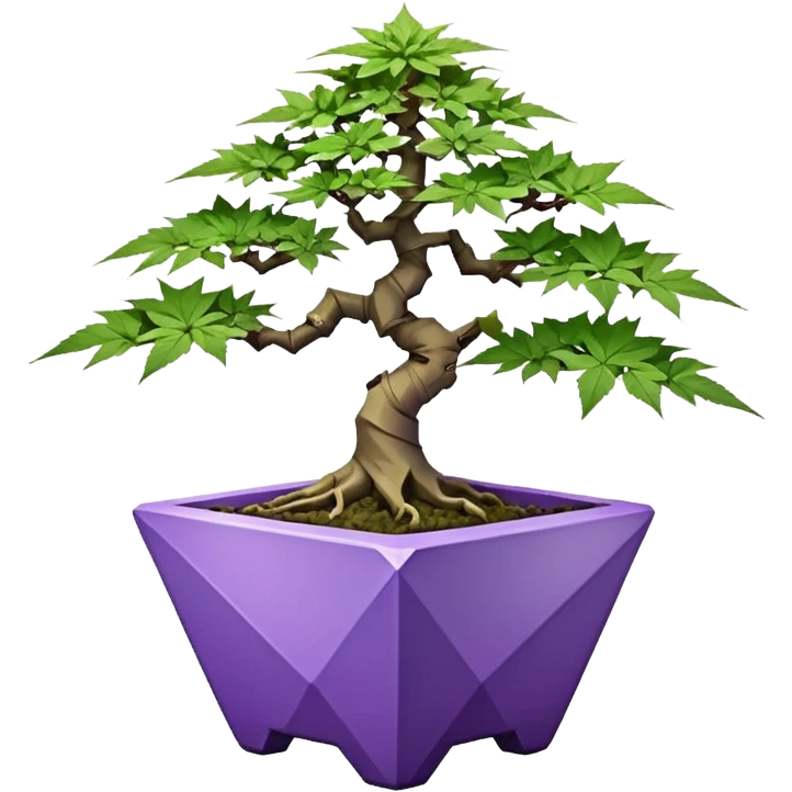  small bonsai pot trident maple purple marijuana with triangular angular faceted asymmetrical originally shaped body  emoji