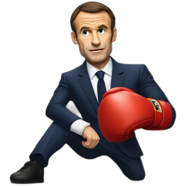 Macron qui fait de la boxe contre Sarkozy emoji