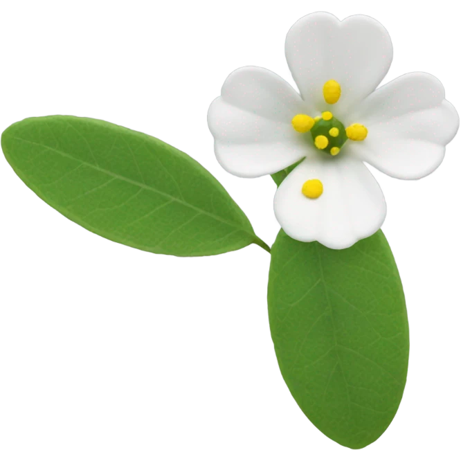 diphylleia flower emoji