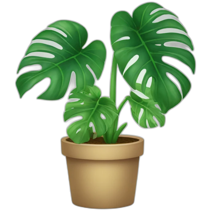 Monstera plant emoji