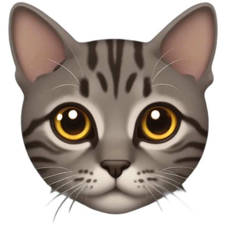 Tabby dark grey brown cat name small eye emoji