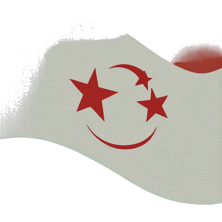 Doğu Türkistan Flag emoji