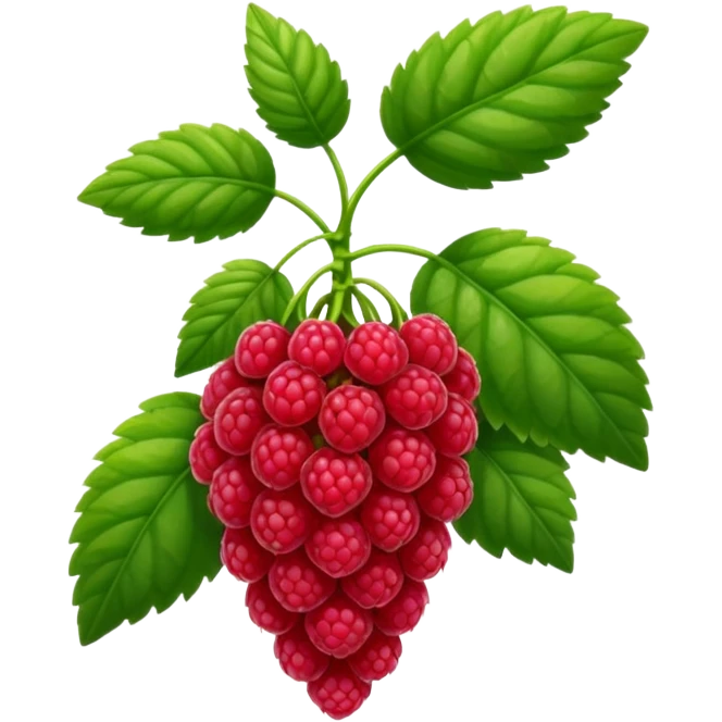 rasberry plant emoji