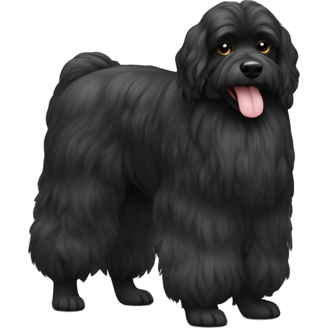 bolonka zvetna dog black emoji