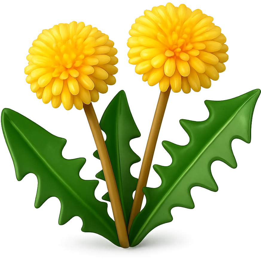 Create a 3D illustration of two dandelions in the style of iOS Apple emojis, featuring volumetric yellow flowers and green leaves, on a transparent background. The style should mimic the detailed and polished look of Apple emojis with a 3D effect. emoji