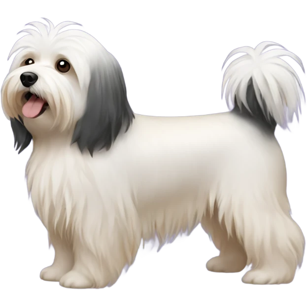 Havanese dog tricolor emoji