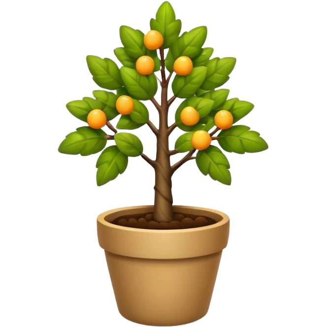 potted little tree emoji