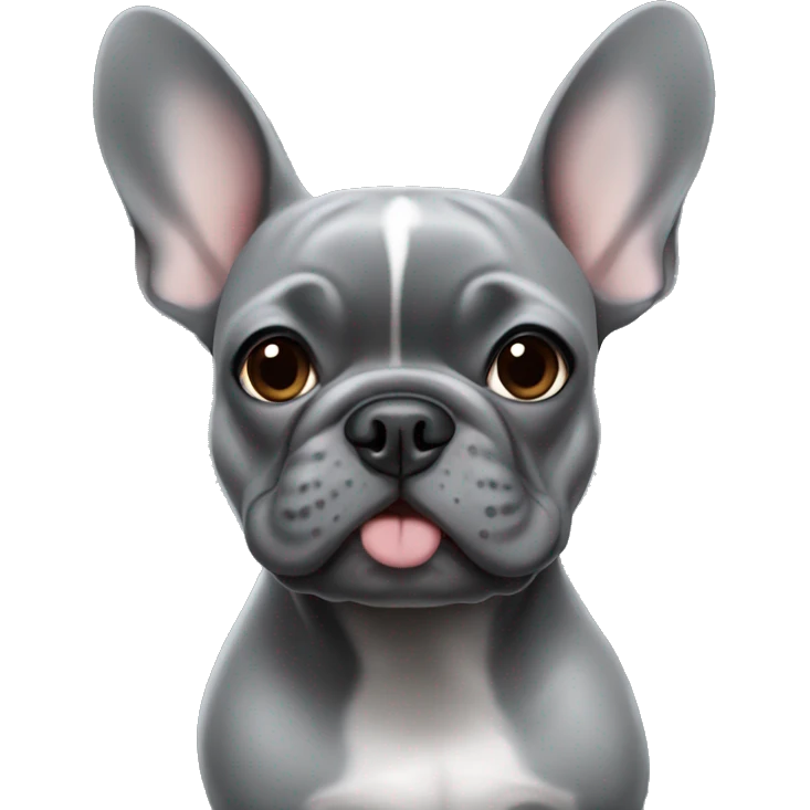Gray frenchie emoji