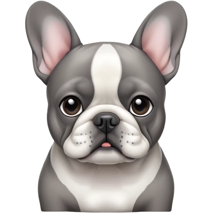 gray and white french bulldog  emoji