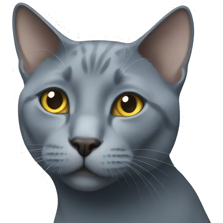 russian blue cat  emoji
