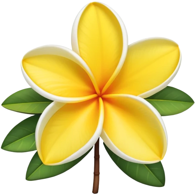 frangipani floweryellow and white emoji