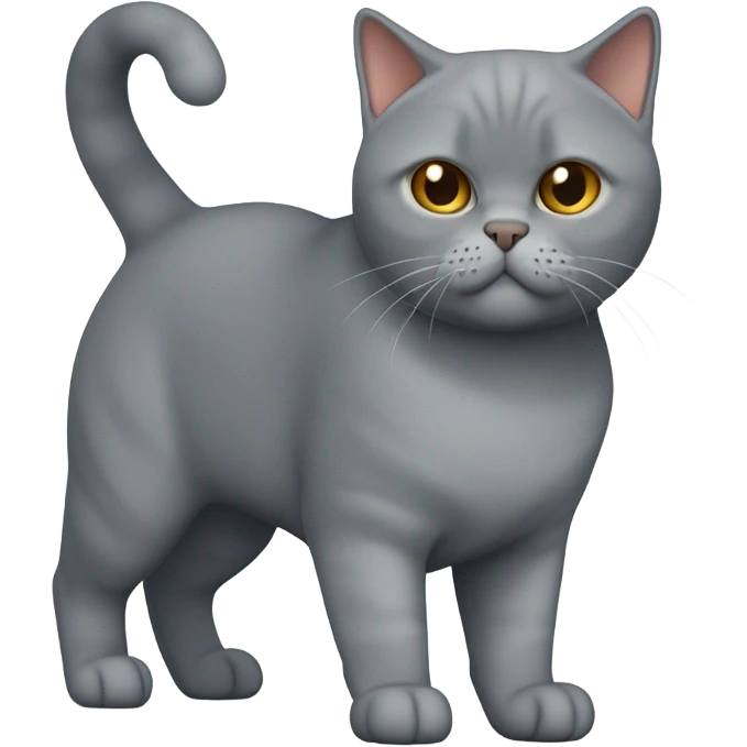 british shorthair emoji