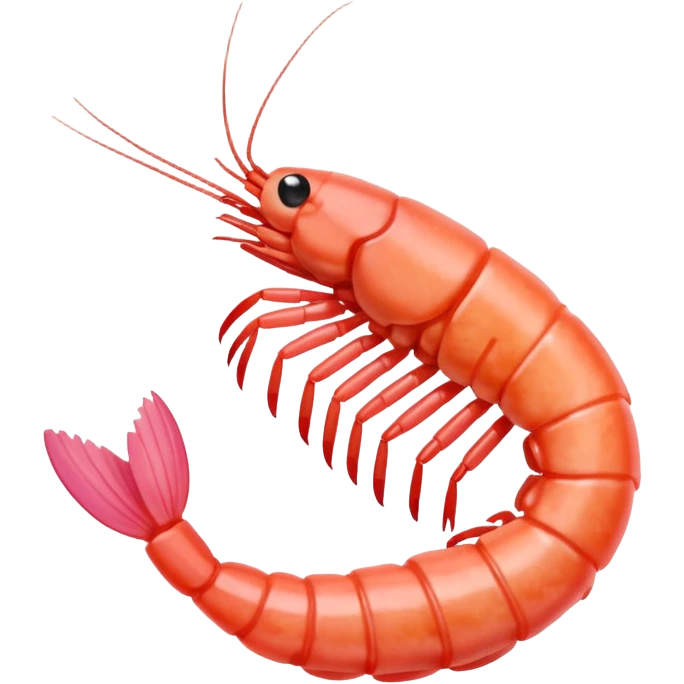 shrimp emoji