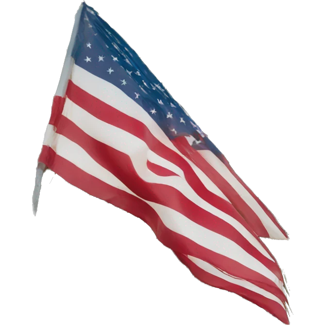 USA flag on palm tree emoji