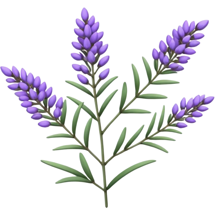 Lavender emoji