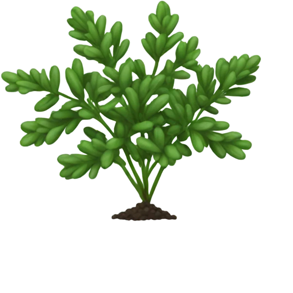 Thyme plant emoji