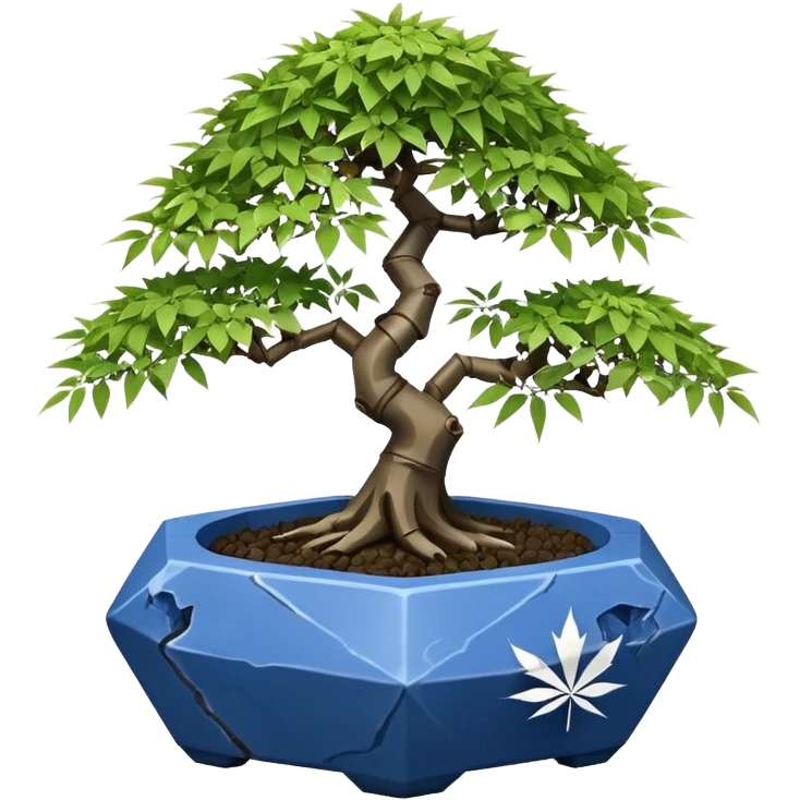 Japanese broken Icosahedron-shaped shallow dark bamboo blue maple tree bonsai pot emoji