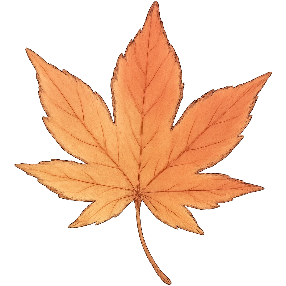 a maple leaf, Japanese soft pastel hand-drawn, full object, transparent background, with subtle color gradients emoji