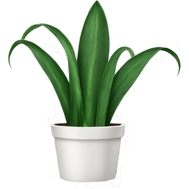 Snake Plant  emoji