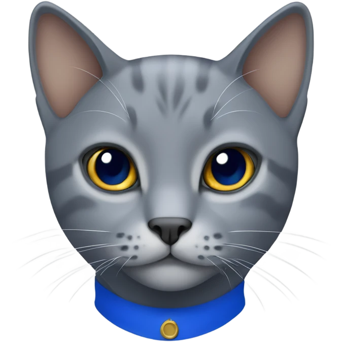 A gray cat wearing a royal blue polo emoji
