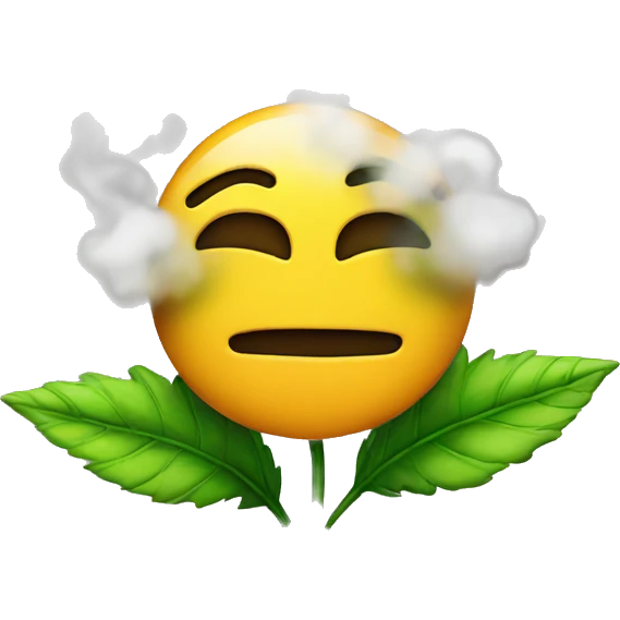weed emoji with smoke around it  emoji