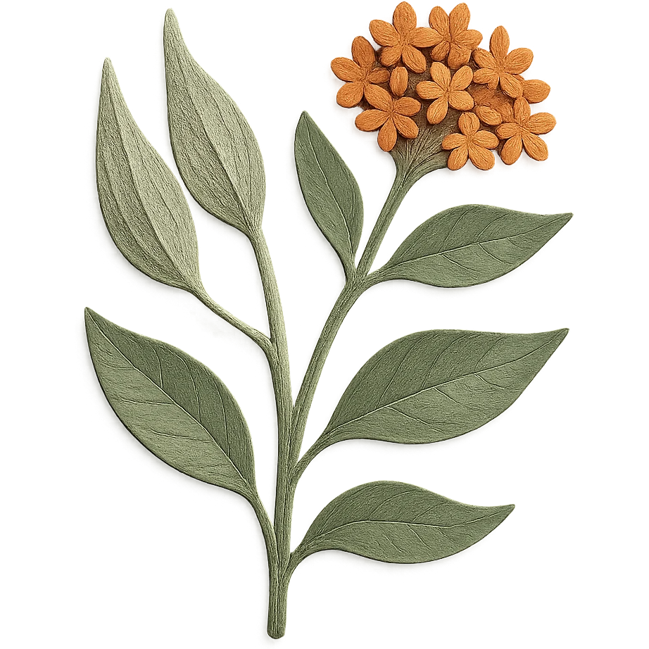 milkweed plant with seed pods, delicate paper layers, realistic textures, expressive leaves and flowers, paper craft style emoji