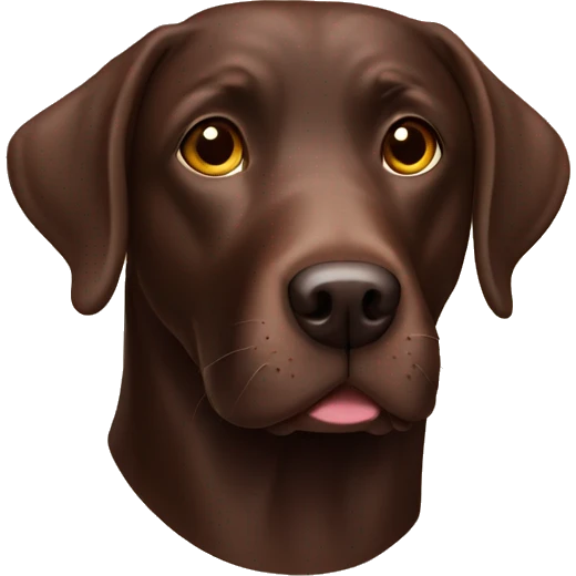 Chocolate Labrador  emoji
