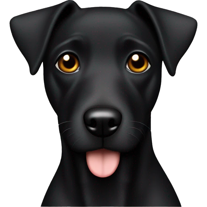 1 dog Black Patterdale Terrier brown eyes  emoji