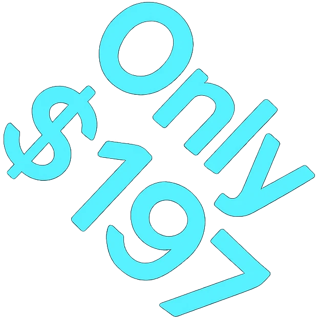Change the colors of the price tag icon to black and cyan. Keep the text 'Only $197' visible and clear. Use a modern and bold style with lineal color icon characteristics. emoji