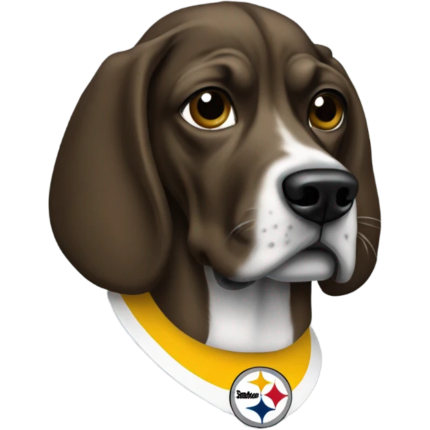 Snoop dog with Steeler helmet emoji