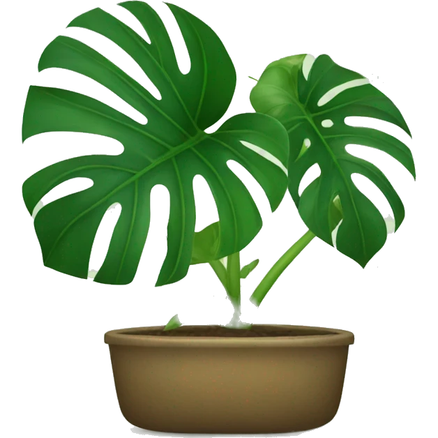 Monstera deliciosa emoji