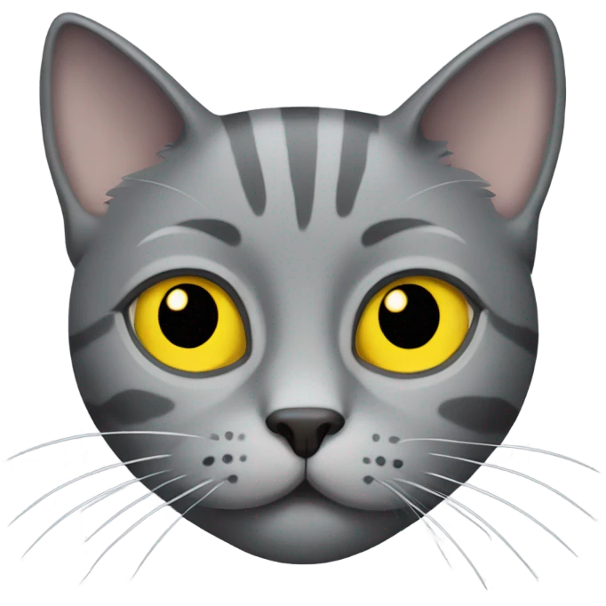 Grey cat with yellow eyes that’s a little chunky emoji