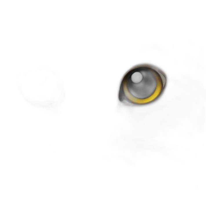 chaton emoji
