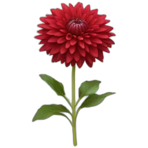 red dahlia emoji
