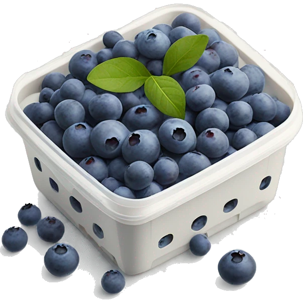 small blueberries in plastic container organic farmer’s market realistic soft textures emoji