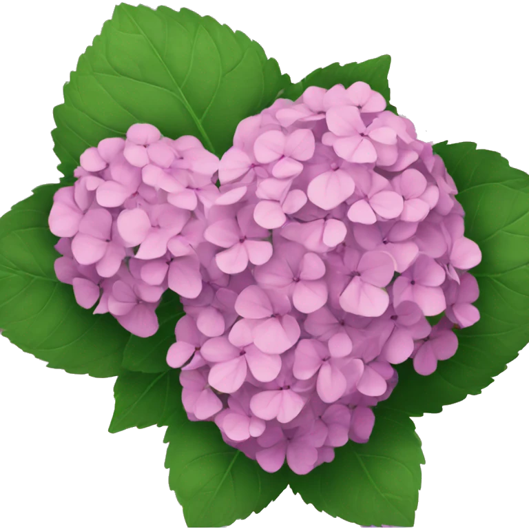 hydrangea emoji