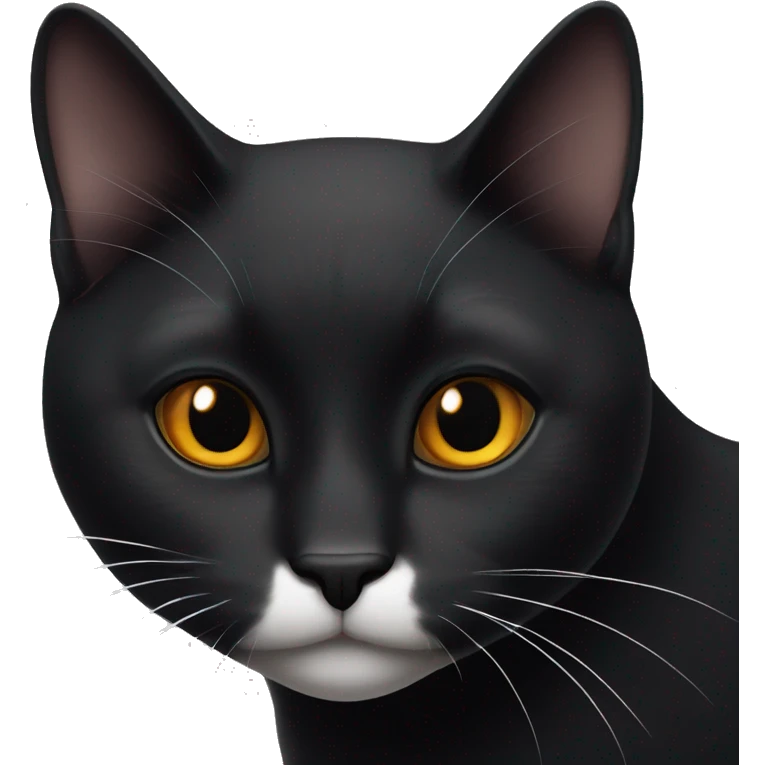 jet black cat with amber eyes with a white patch on his throat emoji