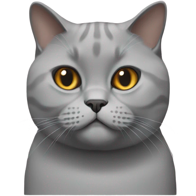british shorthair cat emoji