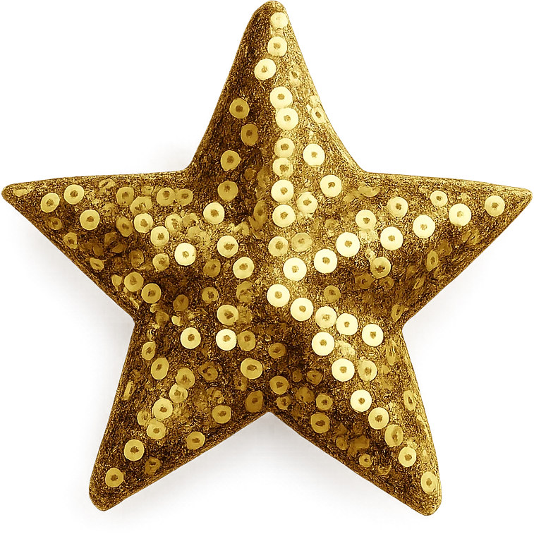 mini star with a sequin texture, glamorous and stylish emoji