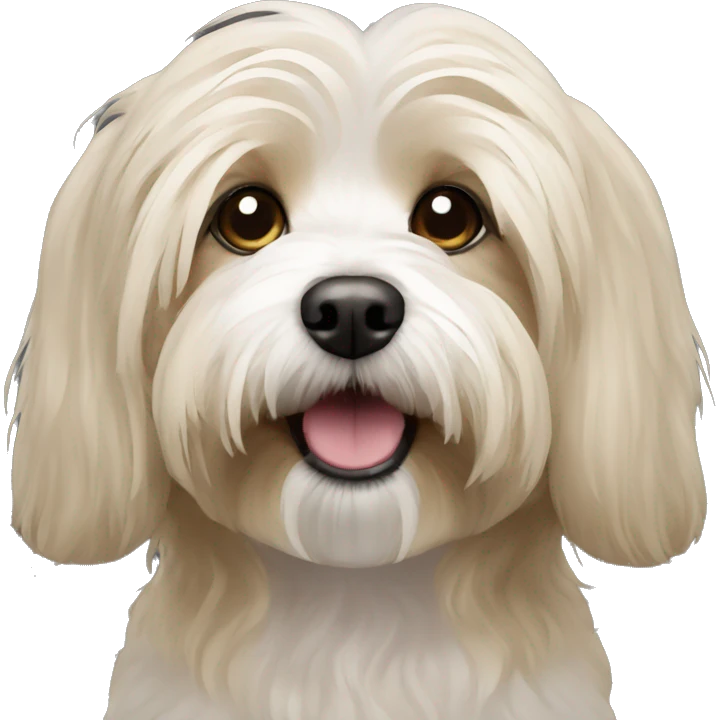 a dirty blonde havanese dog emoji