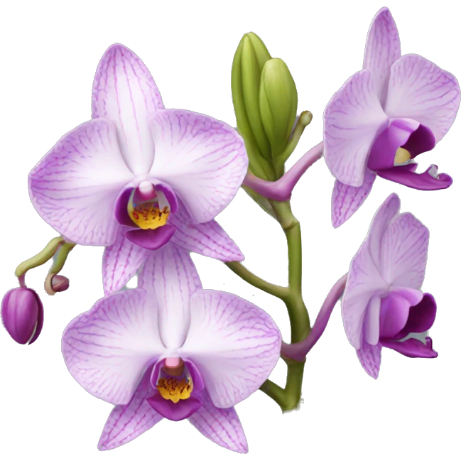 orchid emoji