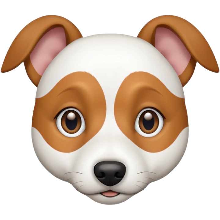 a fully white jack russell the size of a kelpie with floppy ears and a half white face emoji