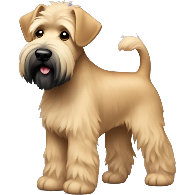 Wheaten terrier with a fluffy puppy haircut and black ears and chin emoji